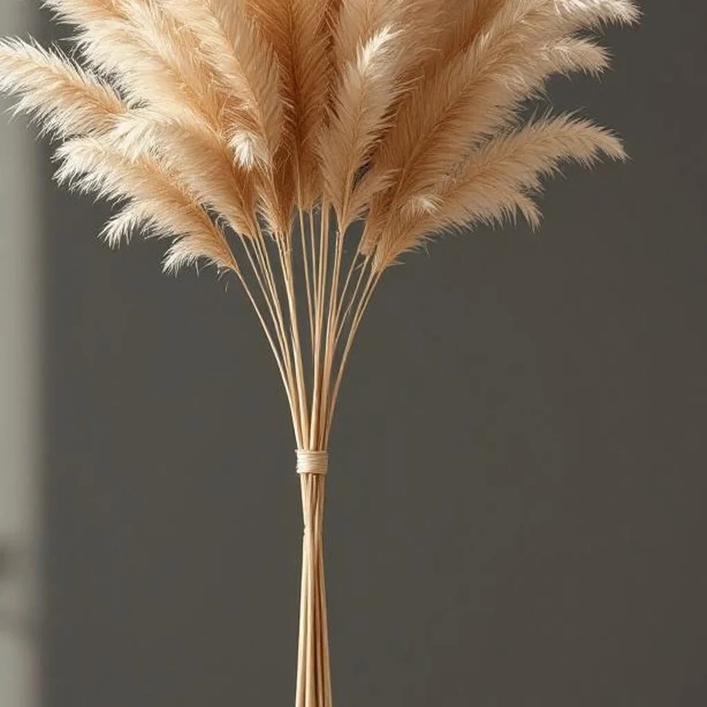 Dried Pampas Grass Bundle in Natural Beige