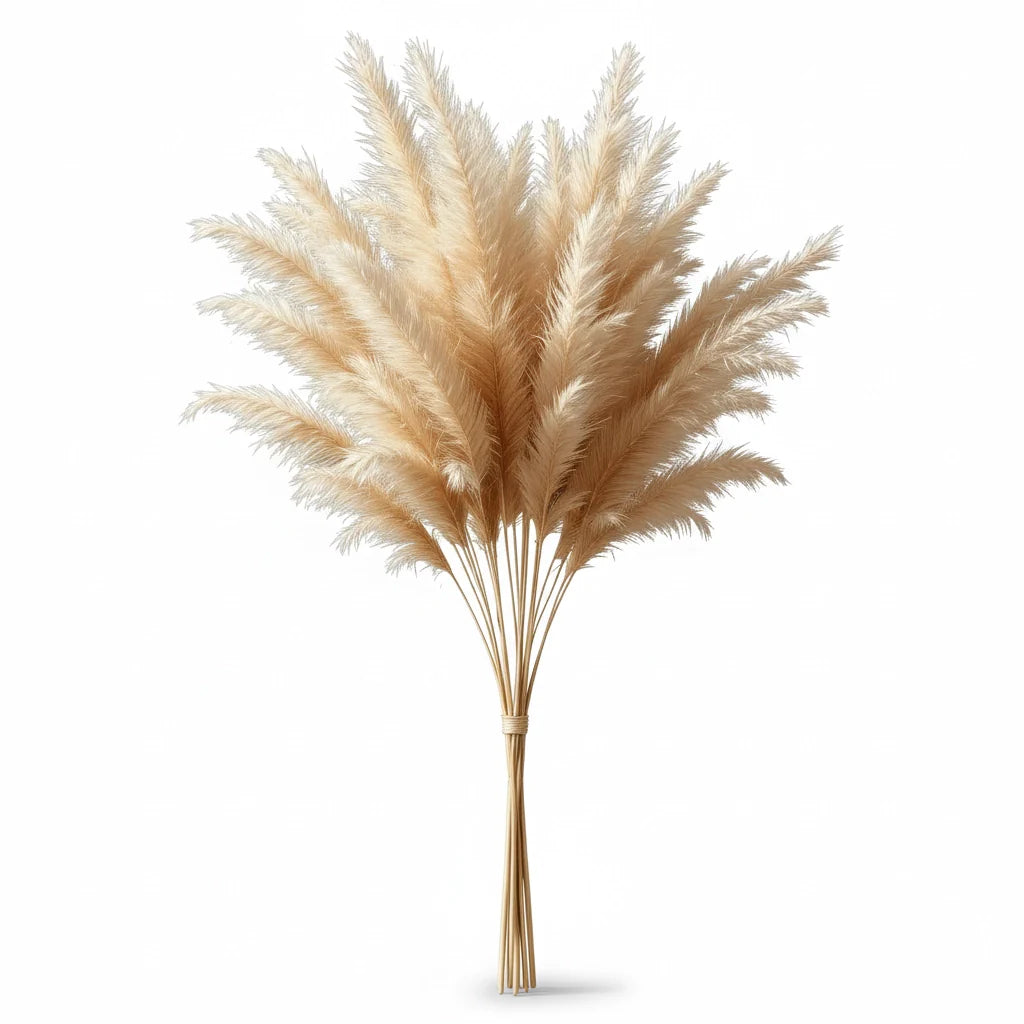 Dried Pampas Grass Bundle in Natural Beige